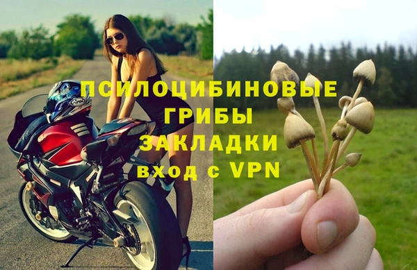 PSILOCYBIN Балахна