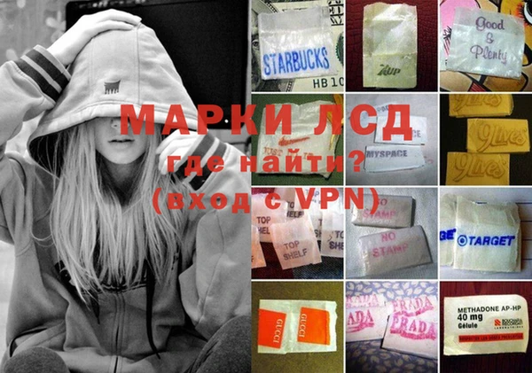 PSILOCYBIN Балахна